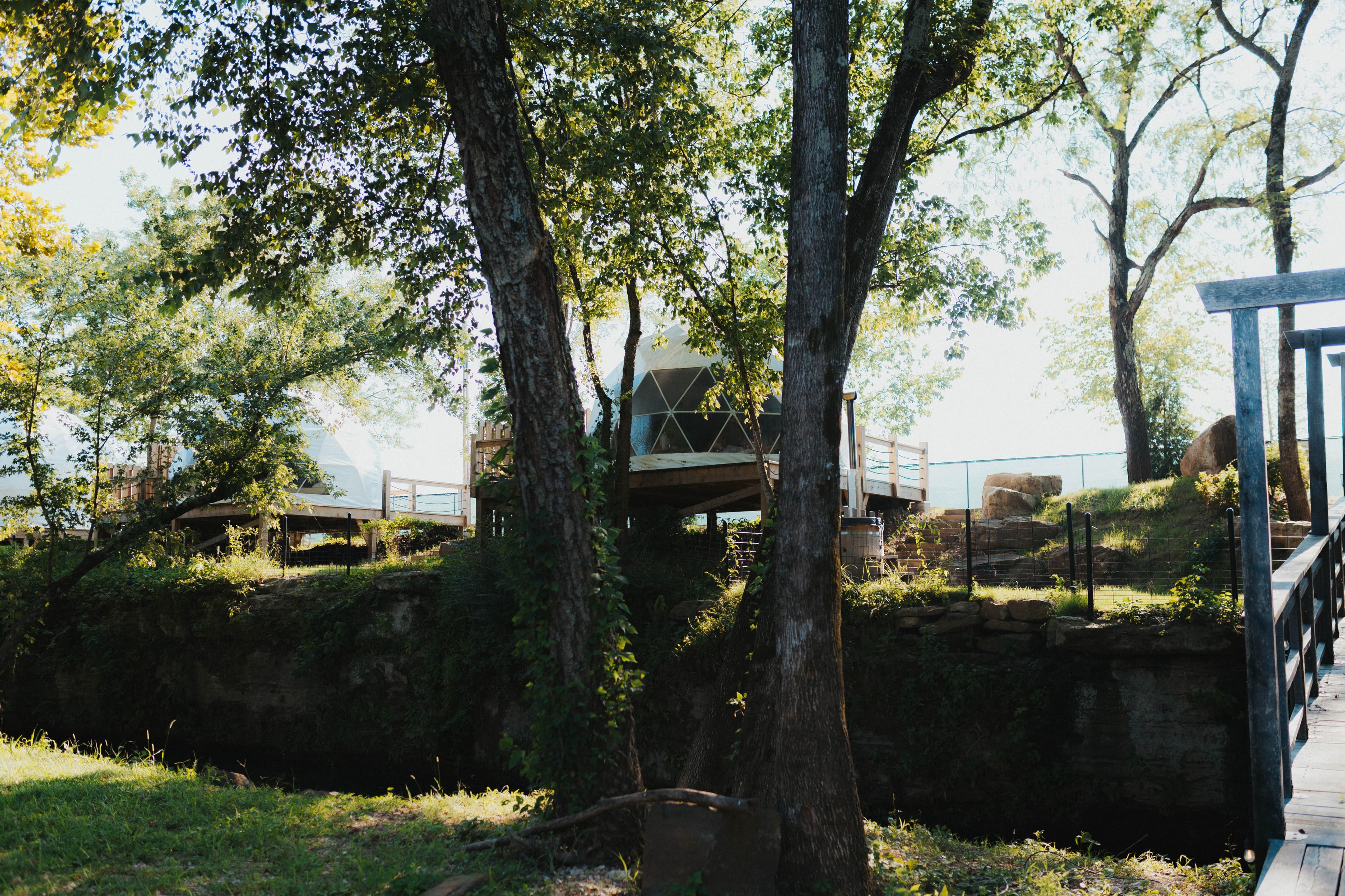 Ferncrest dome nestled among trees with a wooden bridge
