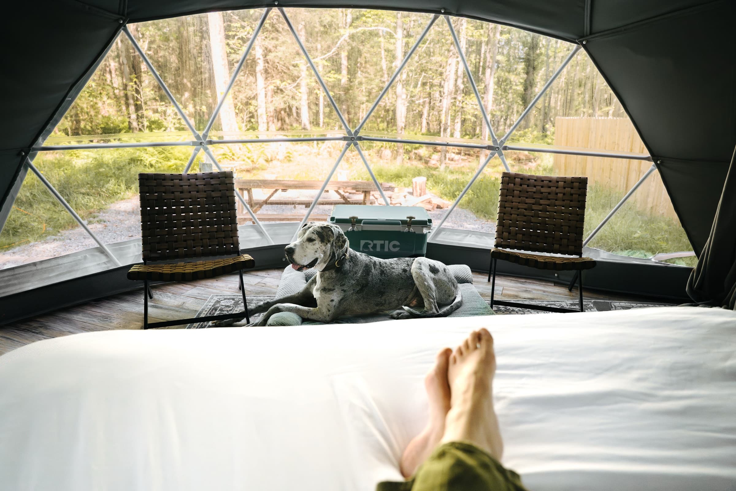 Dome bedroom interior at Ferncrest